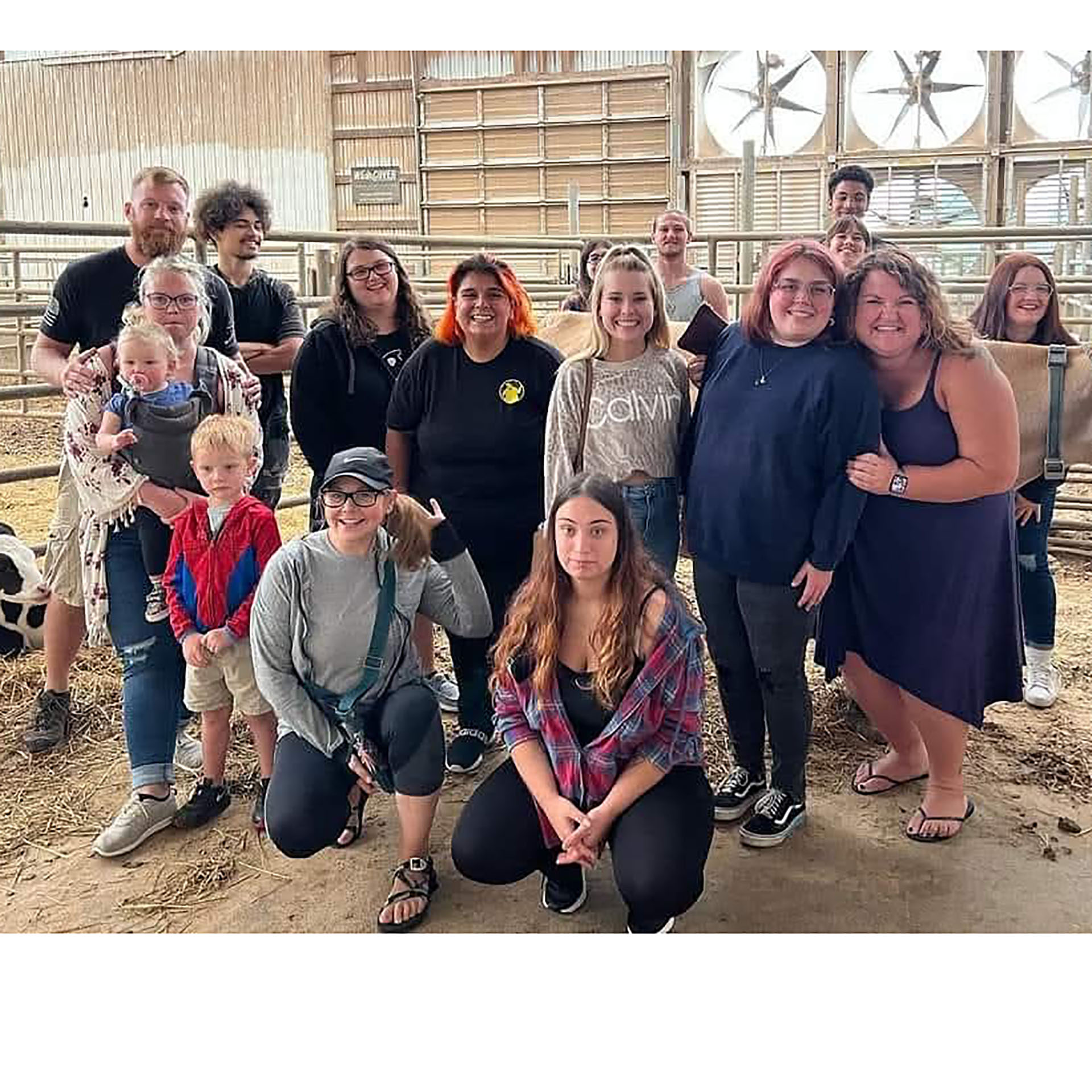 The Eddy staff outing to Shulers Dairy Farm